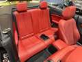 BMW 230 i Cabrio M-Sportpaket Negro - thumbnail 16