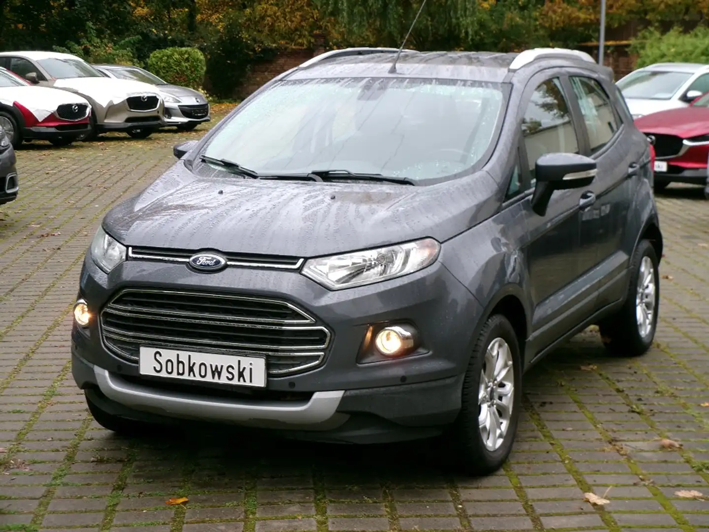 Ford EcoSport Titanium Grau - 1