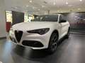 Alfa Romeo Stelvio Stelvio 2.0 Turbo 280 CV AT8 Q4 Veloce PRONTA CON - thumbnail 1