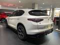 Alfa Romeo Stelvio Stelvio 2.0 Turbo 280 CV AT8 Q4 Veloce PRONTA CON - thumbnail 3