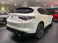 Alfa Romeo Stelvio Stelvio 2.0 Turbo 280 CV AT8 Q4 Veloce PRONTA CON - thumbnail 4