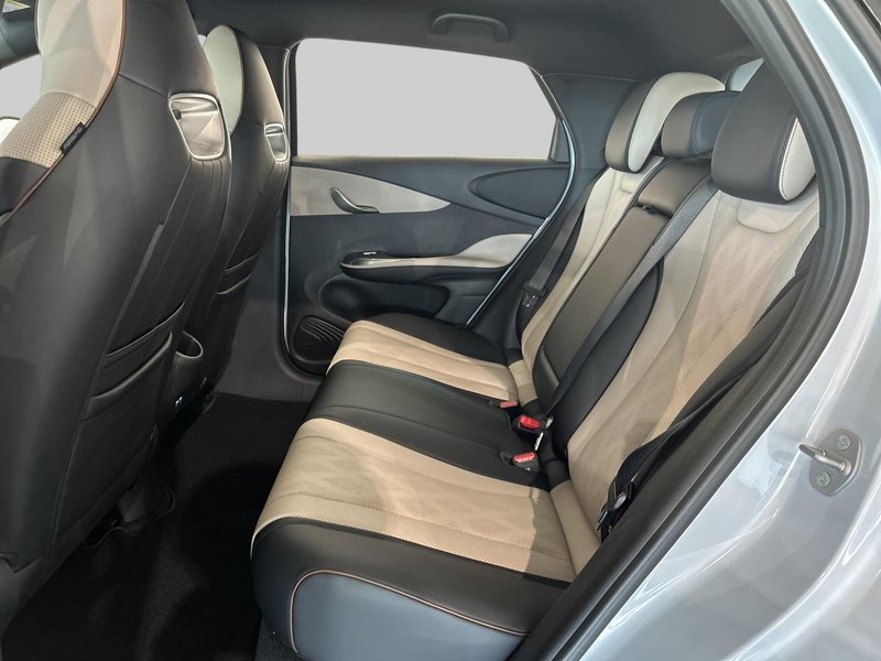 BYD Dolphin Comfort 60.4 kWh | Achteruitrij assistent | Audio — photo 6