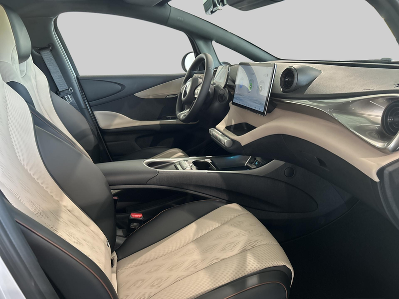 BYD Dolphin Comfort 60.4 kWh | Achteruitrij assistent | Audio — photo 13