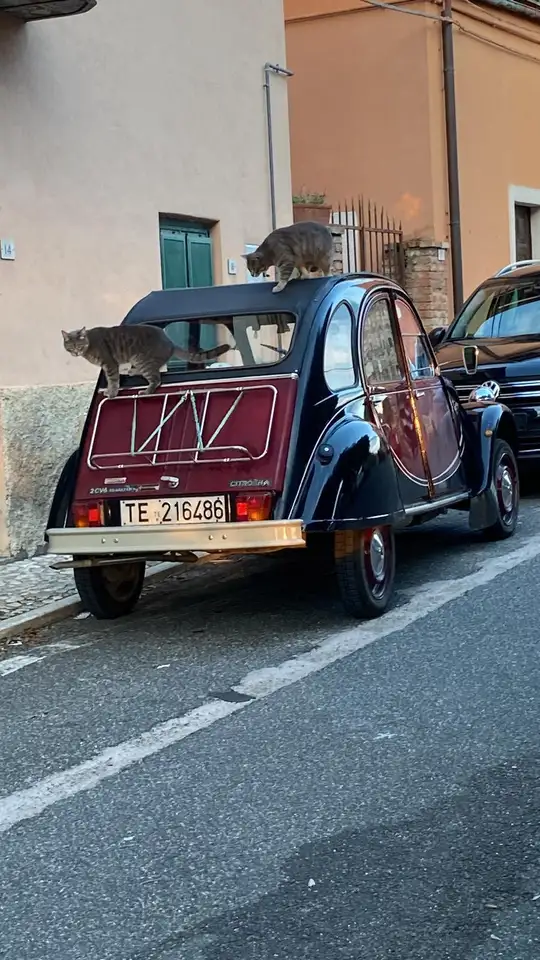 Citroen 2CV6 0.6 Charleston, foto 5