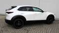 Mazda CX-30 G140PS 6MT 2WD 2.5L HOMURA Weiß - thumbnail 6