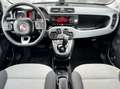 Fiat Panda 0.9 Benzina 85CV E6 Automatica - 2017 Silber - thumbnail 6