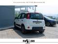 Fiat Panda Panda 1.0 firefly hybrid City Life s Bianco - thumbnail 9