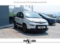 Fiat Panda Panda 1.0 firefly hybrid City Life s Bianco - thumbnail 5