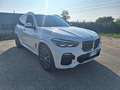 BMW X5 xdrive30d Msport auto - thumbnail 3