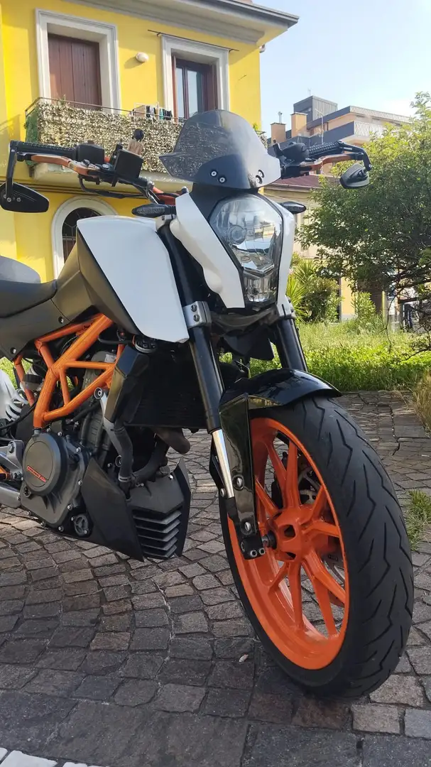 KTM 390 Duke Alb - 2