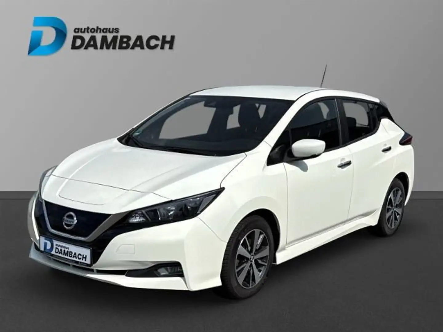 Nissan Leaf Acenta Wit - 1