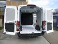 Ford Transit 350 L2H2 Trend Kamera AHK GJR Alb - thumbnail 11