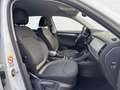 Skoda Kodiaq Ambition 2.0 TDI DSG*NAVI*360*SHZ*SideAss Weiß - thumbnail 5