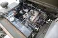 Oldtimer Willys MB CJ2A '43 CH17883 Grün - thumbnail 27