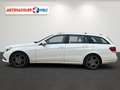 Mercedes-Benz E 250 E250 CDI Kombi Automatik LED Navi Leder SHZ PDC Weiß - thumbnail 7