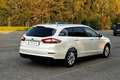 Ford Mondeo Mondeo 2.0 TDCi 150 CV S&S Powershift SW ST-Line Business Wit - thumbnail 5