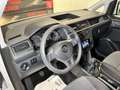 Volkswagen Caddy Maxi 2.0TDI Kombi 75kW Blanco - thumbnail 14