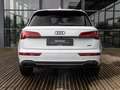 Audi Q5 55 TFSI e S edition Competition | PANORAMA/SCHUIF- Bianco - thumbnail 6