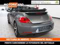 Volkswagen Maggiolino Cabrio 1.2 105Cv Ed. CLUB Plus Navi-Xeno-Fender-18 Grau - thumbnail 4