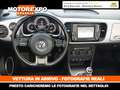 Volkswagen Maggiolino Cabrio 1.2 105Cv Ed. CLUB Plus Navi-Xeno-Fender-18 Grau - thumbnail 12