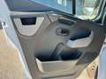 Renault Master 2.3 cdti Cassone RIB. LAT Doppia Cabina - FR556SS Bianco - thumbnail 15