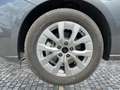 Ford Tourneo Connect 1.5 EcoBoost PHEV Titanium LED Grau - thumbnail 11