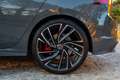 Volkswagen Golf GTI Golf 2.0 TSI GTI DSG 180kW GTI Gris - thumbnail 18