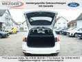 Ford Focus Titanium Wit - thumbnail 6