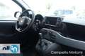 Fiat Panda Panda 1.0 70cv Hybrid City Life Nero - thumbnail 13
