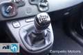 Fiat Panda Panda 1.0 70cv Hybrid City Life Nero - thumbnail 12