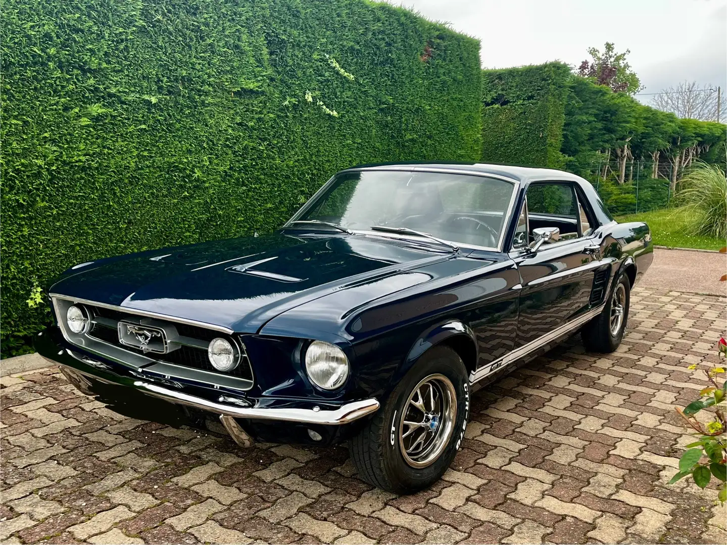 Ford Mustang - 1