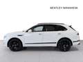 Bentley Bentayga V8 von BENTLEY MANNHEIM Bianco - thumbnail 3