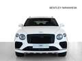 Bentley Bentayga V8 von BENTLEY MANNHEIM Bianco - thumbnail 2