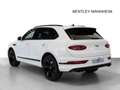 Bentley Bentayga V8 von BENTLEY MANNHEIM Bianco - thumbnail 4