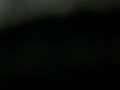 Kia ProCeed 1.5T DCT7 GT-Line AHK Schwarz - thumbnail 17