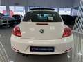 Volkswagen Beetle 2.0 TDI 140cv Sport Blanco - thumbnail 29