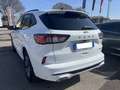 Ford Kuga 2.5 Plug In Hybrid 225 CV CVT 2WD ST-Line Grigio - thumbnail 5