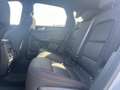 Ford Kuga 2.5 Plug In Hybrid 225 CV CVT 2WD ST-Line Grigio - thumbnail 8
