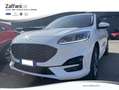 Ford Kuga 2.5 Plug In Hybrid 225 CV CVT 2WD ST-Line Grigio - thumbnail 1
