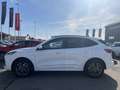 Ford Kuga 2.5 Plug In Hybrid 225 CV CVT 2WD ST-Line Grigio - thumbnail 4