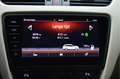 Skoda Octavia Combi 1.0 TSI Greentech Business Edition Plus O.a: Rood - thumbnail 19