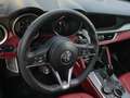Alfa Romeo Stelvio 2.2 Turbodiesel 210 CV AT8 Q4 Executive Grigio - thumbnail 9