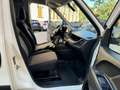 Fiat Doblo FURGONE 1.3 mjt 16v GARANTITO 12 MESI Blanc - thumbnail 6