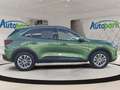 Ford Kuga Titanium FHEV Hybrid Titanium Vert - thumbnail 5