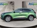 Ford Kuga Titanium FHEV Hybrid Titanium Grün - thumbnail 4