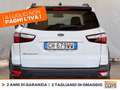 Ford EcoSport 1.0 ecoboost active s&s 125cv Bianco - thumbnail 5