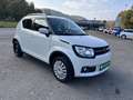 Suzuki Ignis Dualjet Allgrip Comfort Blanc - thumbnail 8