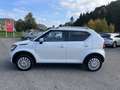 Suzuki Ignis Dualjet Allgrip Comfort Blanc - thumbnail 2