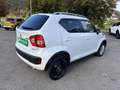Suzuki Ignis Dualjet Allgrip Comfort Blanc - thumbnail 6
