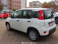 Fiat Panda 1.0 FireFly S&S Hybrid (OK NEOPATENTATI) Blanco - thumbnail 4